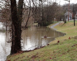 Flooded Greenbelt