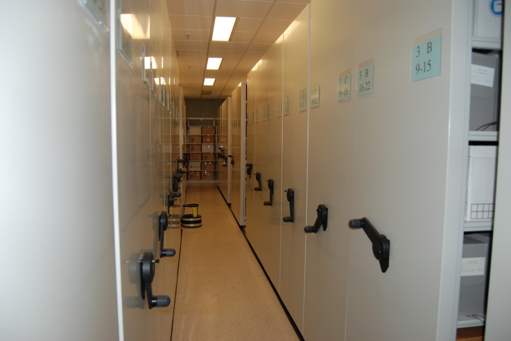 Endless expandable shelving keeps important collections orderly.